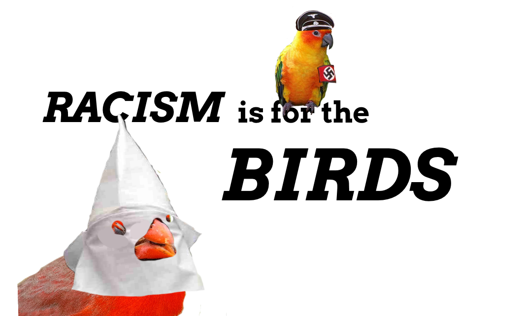 Racism is For the Birds – Spud media